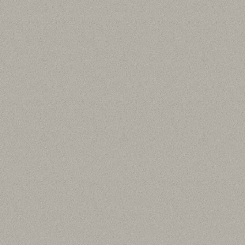 LEONA – Nebel