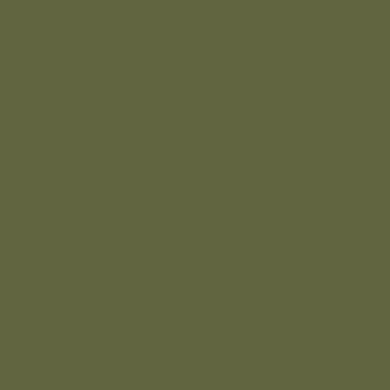 Lakovaná fronta vo farbe 1105 – Olive